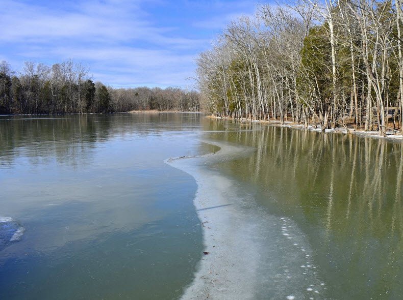 Bledsoe Creek State Park, Tennessee, USA